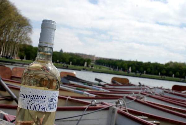 Dans les Jardins de Versailles.