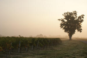 boisselard