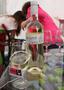 Printemps des Vins 2013