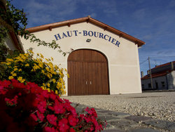 vendanges 2005 044